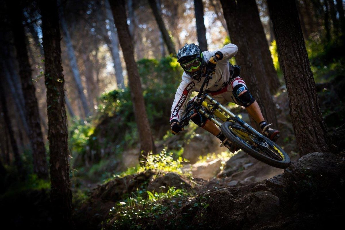 Downhill mellem granerne